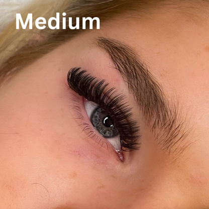 Magnetic Volume Lash Kit