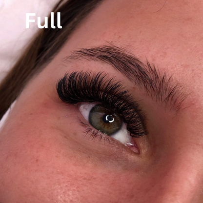 Magnetic Volume Lash Kit